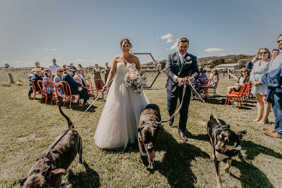 Wedding dogs at burnbrae wines wedding venue mudgee with wedding flowers by Mudgee monkey wedding and event florist and stylist. wedding coordination  